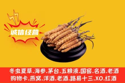 乡宁县回收冬虫夏草
